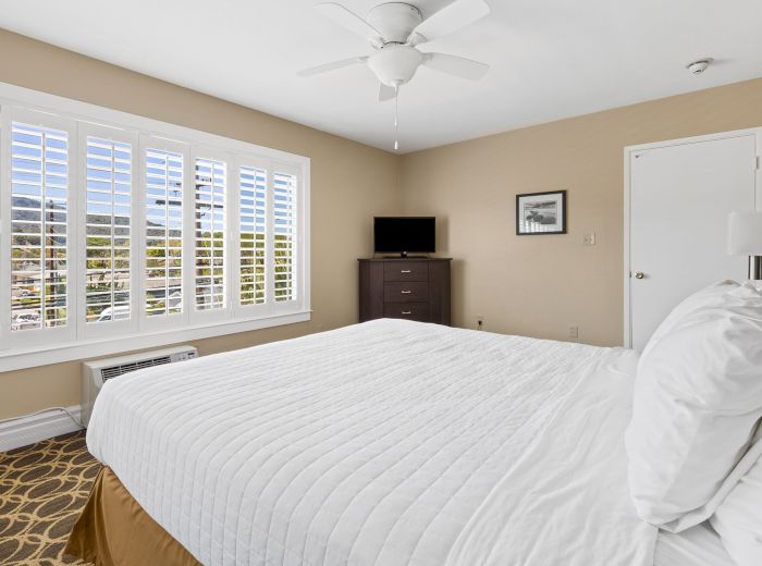 bedroom single suite